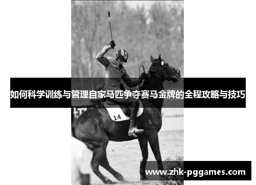 如何科学训练与管理自家马匹争夺赛马金牌的全程攻略与技巧