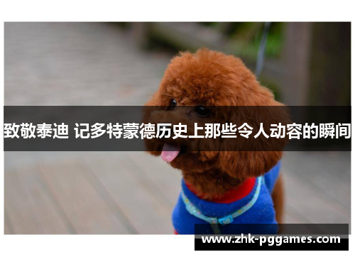 致敬泰迪 记多特蒙德历史上那些令人动容的瞬间 致敬泰迪 记多特蒙德历史上那些令人动容的瞬间