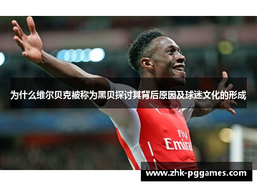 为什么维尔贝克被称为黑贝探讨其背后原因及球迷文化的形成