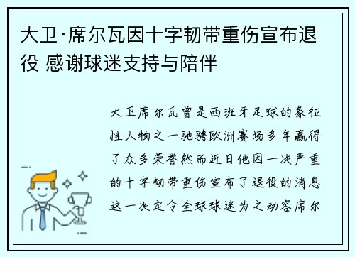 大卫·席尔瓦因十字韧带重伤宣布退役 感谢球迷支持与陪伴