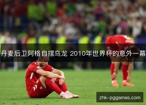 丹麦后卫阿格自摆乌龙 2010年世界杯的意外一幕 丹麦后卫阿格自摆乌龙 2010年世界杯的意外一幕