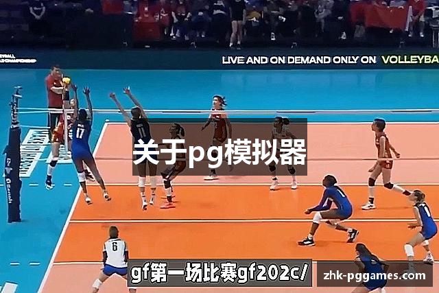 关于pg模拟器